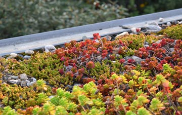 the cost of Crianlarich green roof installation