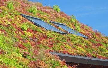 Crianlarich living roof systems