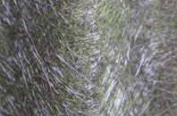 Crianlarich fibreglass roof work